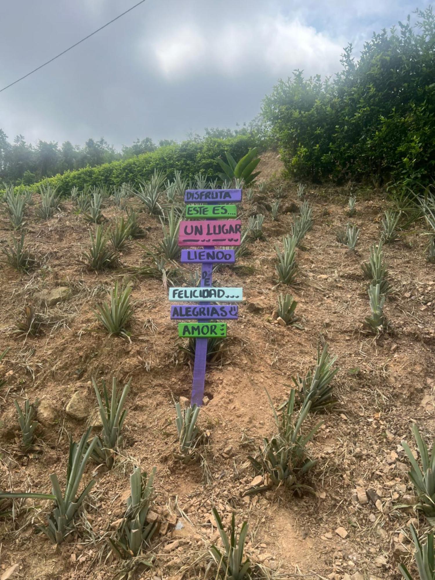 Finca Don Matias Melgar Kültér fotó